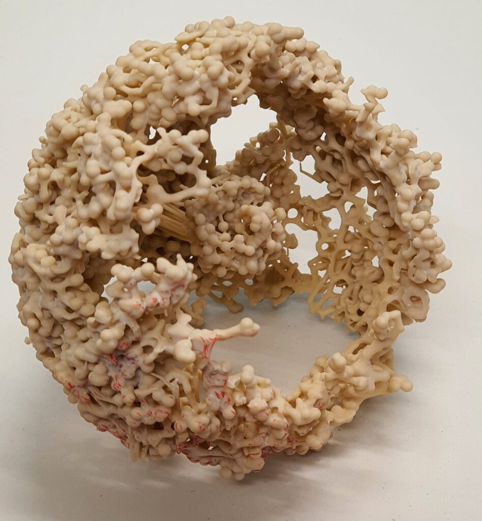 Modelo 3D de Ho'oleilana . 3D model of Ho'oleilana